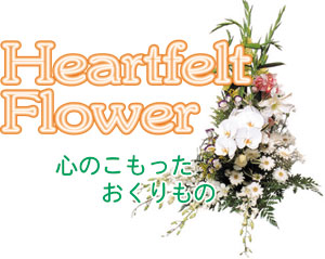 ̂蕨