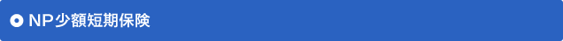 NPzZی
