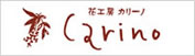 ԍH[@J[m