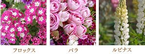 花イメージ